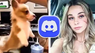 te discord memy to totalny ️‍🔥️‍🔥️‍🔥