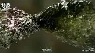 LOOT - ZEUS (Visualizer)