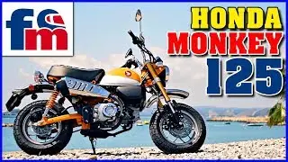 Honda Monkey 125 | Review y prueba de conducción