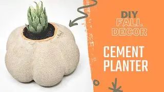 DIY cement planter / fall decor