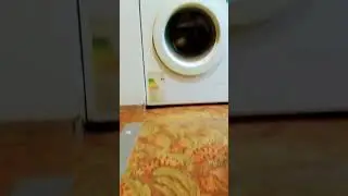 29 мая 2024 г.