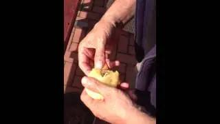 sliepka spracovanie