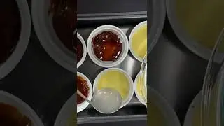 The Only Flan Recipe you will ever need 