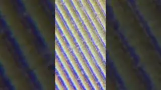 Old diffraction grating #shorts