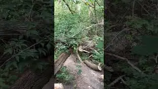 Лето, даже отложенное на потом, тоже проходит