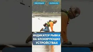 Индикаторы блокирующего #сиз #защита #строительство #инструмент #падение #работа #безопасность