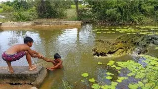Just Fishing But Meeting Crocodile But Unfortunately! | Net Fishing Catching Crocodile