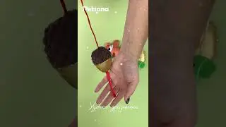 Новогодний набор игрушек для кошек Petsona 😺🎁🌲