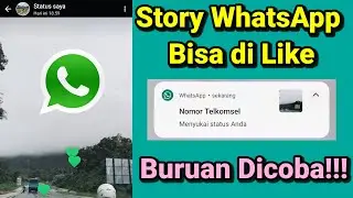 Story WhatsApp Bisa di Like, Buruan Cek Sekarang!