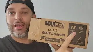 Max Catch 72 Pack Professional Strength - Mouse, Rat & Pest Glue Scented Sticky Trap (Review)