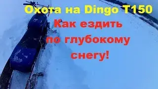 Охота на Dingo T150 || Езда с накладками || Как правильно ездить по пухлому снегу