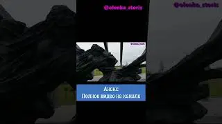 Мемориальный комплекс в д.Борки / #анонс #shorts