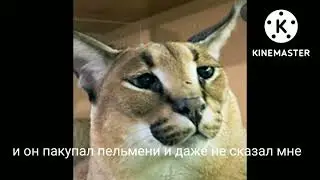 шлëпа а не шлëпа1