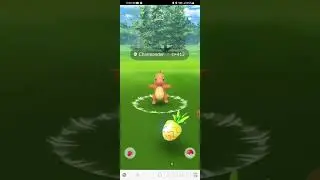 pokemon go5/31/2023