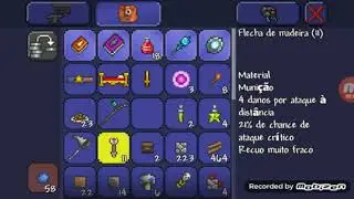 Ataque pirata no terraria