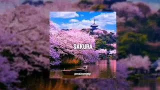 [FREE] Central Cee x Dave Japan Drill Type Beat 