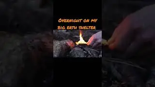 Overnight: covered shelter with moss, bed, fire inside, birds singing in spring (ASMR)
