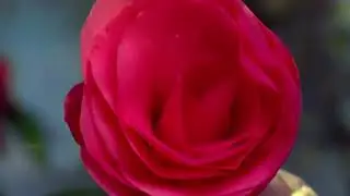 Moti Ma  Джей баджаранга бали  Мантра баджан
