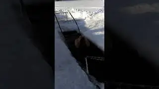 Купание в проруби 2024 год