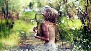 Сердце одинокой птицы Антонюк Андрей