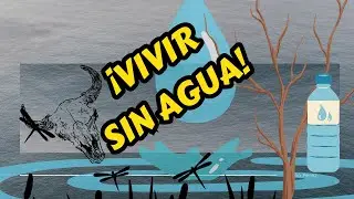 La Sequía: Un Desafío Global y Nacional