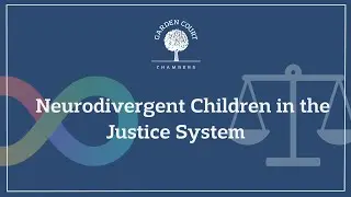 Neurodivergent Children in the Justice System - 20 Feb 2024