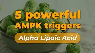 Power of AMPK Triggers: ALA for blood sugar balance | Nation Health MD #gluco24