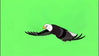 2D Animated Eagle Green Screen Background 