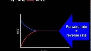 Chemical Equilibrium Explained | Video Tutorial | Crash Chemistry Academy