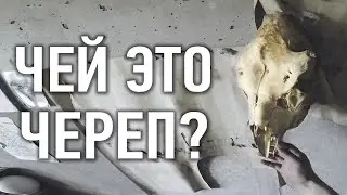 Квартиры в Припяти, нашёл тайную комнату Сталкеров (часть 3)