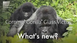 Corning Gorilla Glass Victus — An Introduction