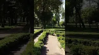Київ. Зелений baby-лабіринт у парку "Веселка"
