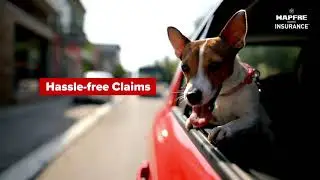 Save in Five with MAPFRE Insurance
