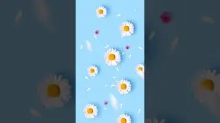 Summer freshv daisy blue ocean Animated