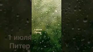 Ливень Гроза Питер #питер #дождь #спб #гроза #купчино #вид из окна