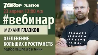 Озеленение больших пространств. Подбор кашпо и растений. Фитодизайнер Михаил Глазков