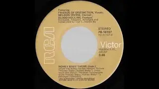 honey baby theme instrumental
