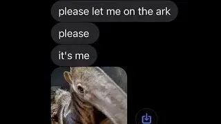 NOAH PLEASE LET ME ON THE ARK