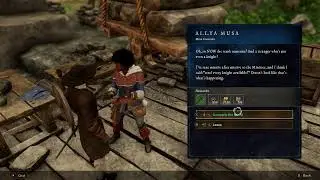 New World New Player P2.1