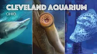 Greater Cleveland Aquarium Tour - Cleveland, Ohio