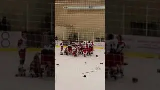 Pinnacle Pioneers JV Hockey Wins State Championship!