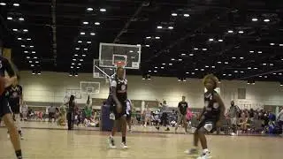 Jaelynn Housey (Florida Huskies) Highlights