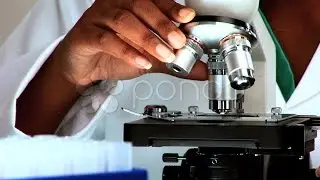 Science and Research. Stock Footage