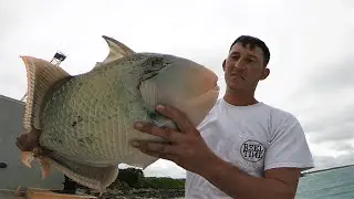 EPIC triggerfish sight cast!