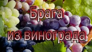Брага на винограде. Быстрое сбраживание.