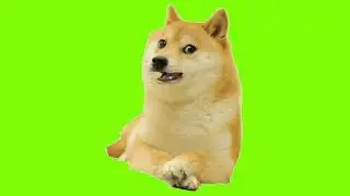 Greenscreen Doge Bicara