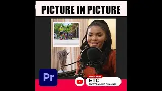 PICTURE IN PICTURE | BORDER | ADOBE PREMIERE PRO | 