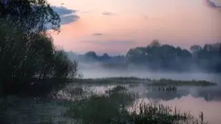 МАМА