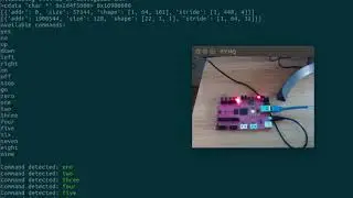 FWDNXT Inference Engine on pynq: demonstration of speech command recognition