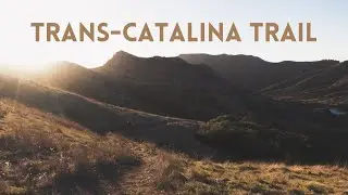 Trans-Catalina Trail [2023]
